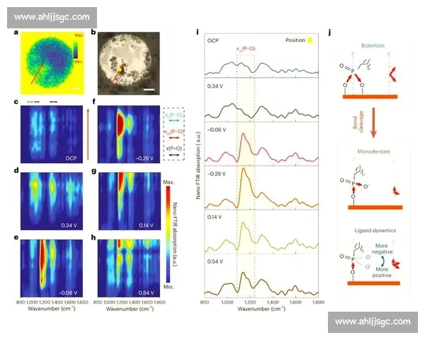 拉曼vs红外光谱技术原理应用优势与检测场景全面对比解析深度指南