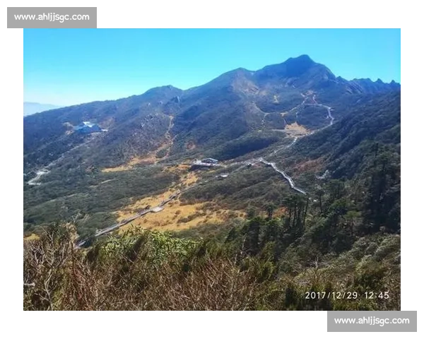 伯比克对阵阿里的世纪拳坛对决与传奇意义历史背景战术博弈全景解析